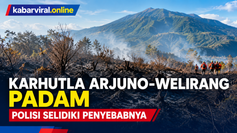 Ilustrasi karhutla Gunung Arjuno-Welirang padam dan polisi menyelidiki penyebab kebakaran hutan