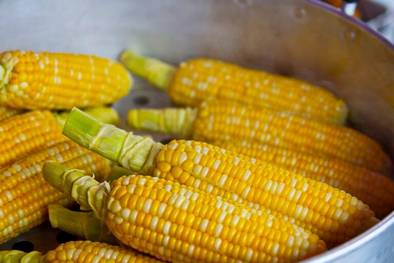 Mentan Amran Salurkan Jagung SPHP untuk Peternak